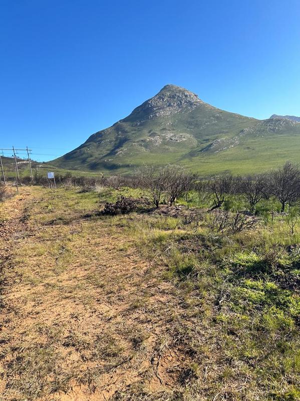 0 Bedroom Property for Sale in Kareedouw Eastern Cape